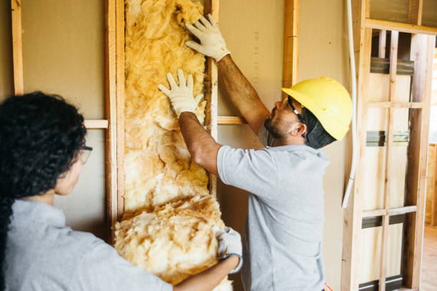 Trusted St Johns, AZ Insulation Contractor Experts